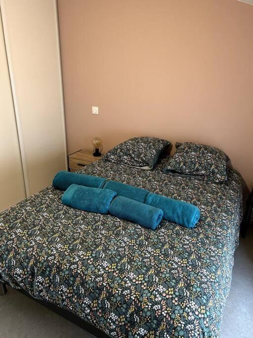 Le Cosy Grenier De Pauline Et Flo Appartement Cessenon-sur-Orb Buitenkant foto